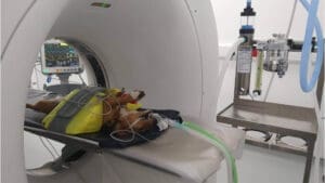 Advanced Diagnostics services for pets and small animals eg dogs cats- Veterinary Specialists Meath and Cork