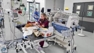 Critical Care Life Support vet care for pets and small animals - Veterinary Specialists Ireland