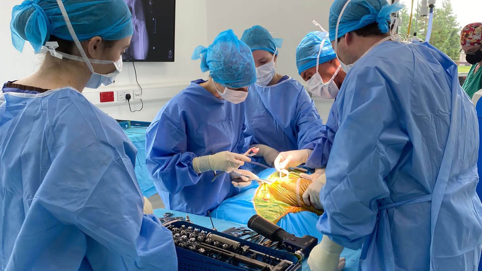 Orthopaedics and Sports Medicine – Veterinary Specialists Ireland orthopaedic vet services Orthopaedics and Sports Medicine - Veterinary Specialists Ireland orthopaedic vet services