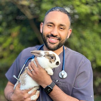 Dr Bobby Ortiz Vet - Veterinary Specialists Ireland