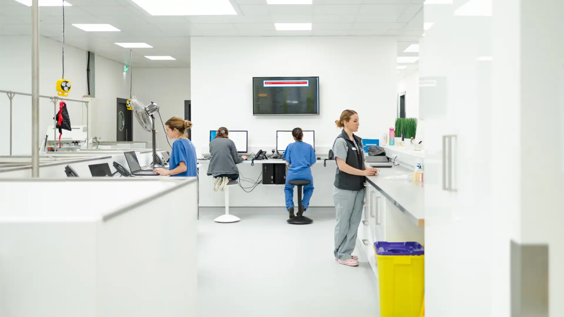 Vet referral service for small animals Veterinary Specialists Ireland refer a case and follow up with vets nationwide