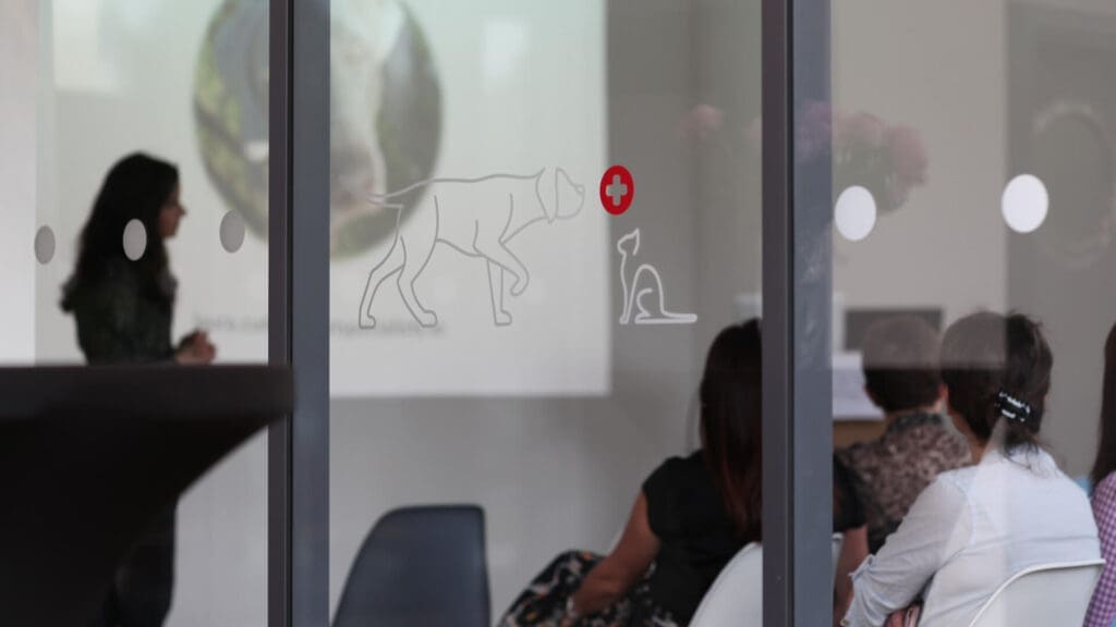 CPD Continuing Professional Development at Veterinary Specialists Ireland