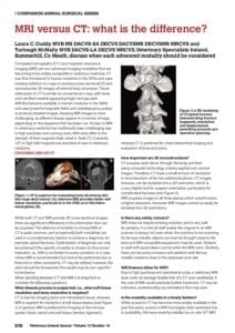 MRI versus CT: what is the difference?