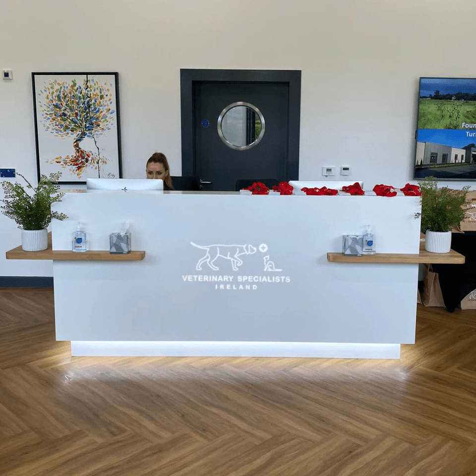 Vet Specialists Ireland reception Summerhill Meath - how much does each visit cost and payment options