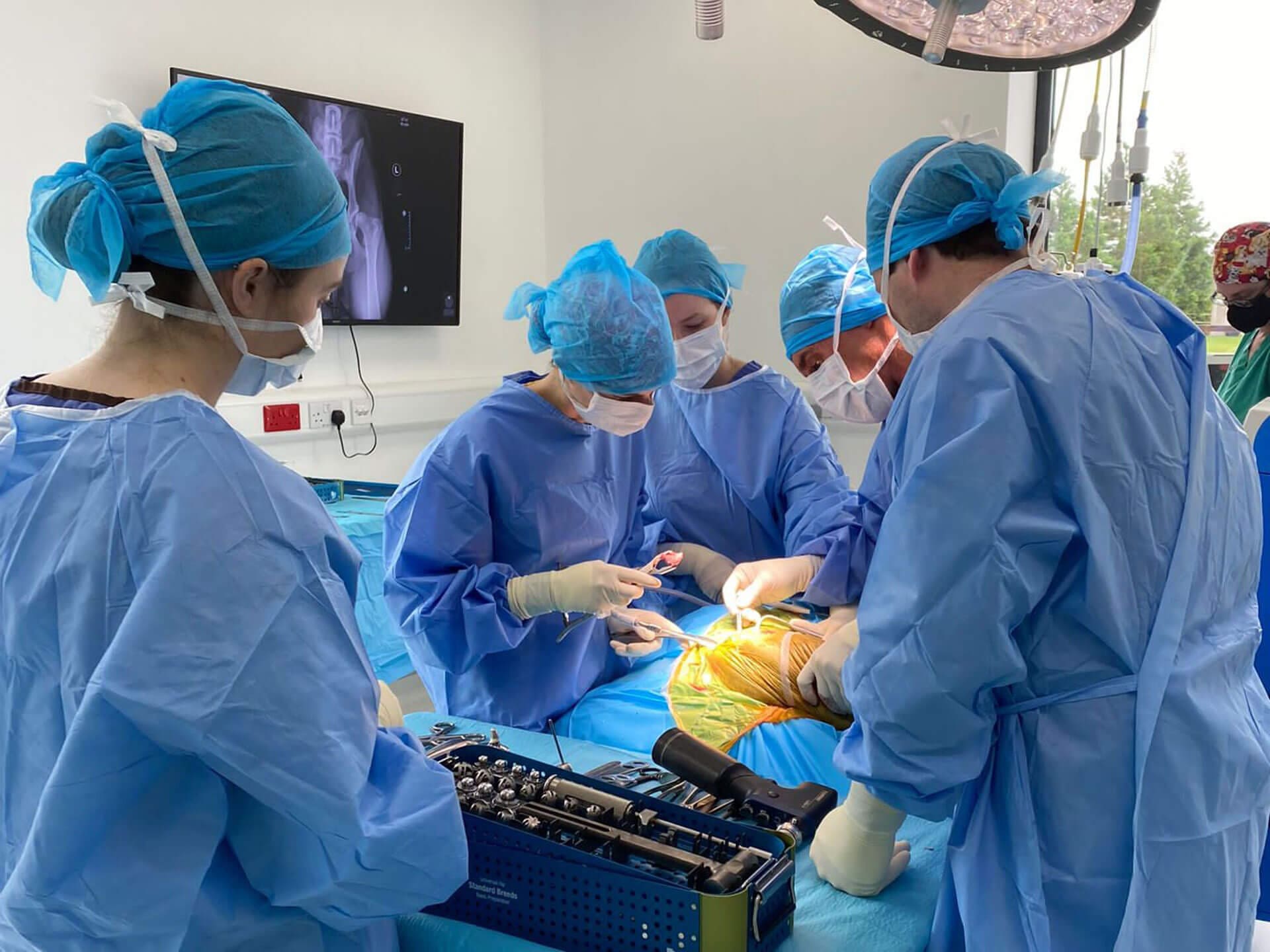 Veterinary Community supports at Veterinary Specialists Ireland Veterinary Community supports at Veterinary Specialists Ireland