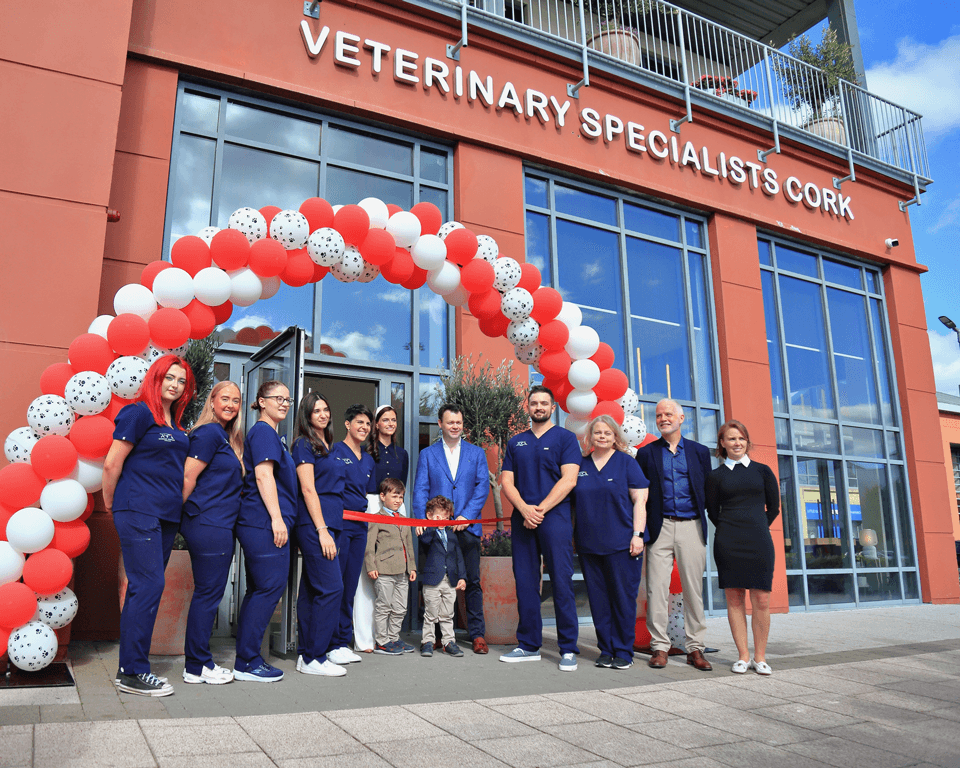Veterinary Specialists Ireland Cork Opening 2024 Team Photo Veterinary Specialists Ireland Cork Opening 2024 Team photo