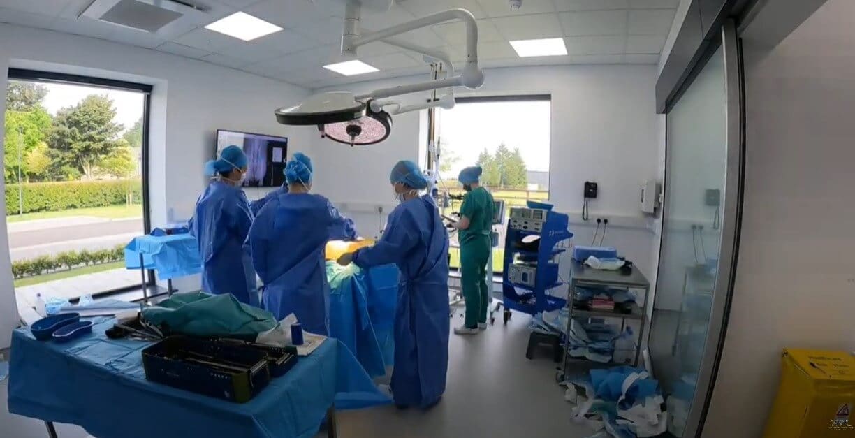 Hip Replacement Surgery at Veterinary Specialists Ireland - Watch Video