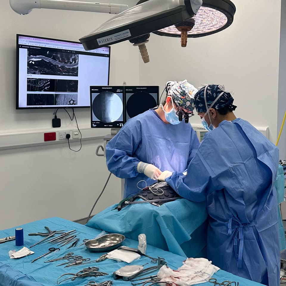 Emergency veterinary care Emerge vet Ireland