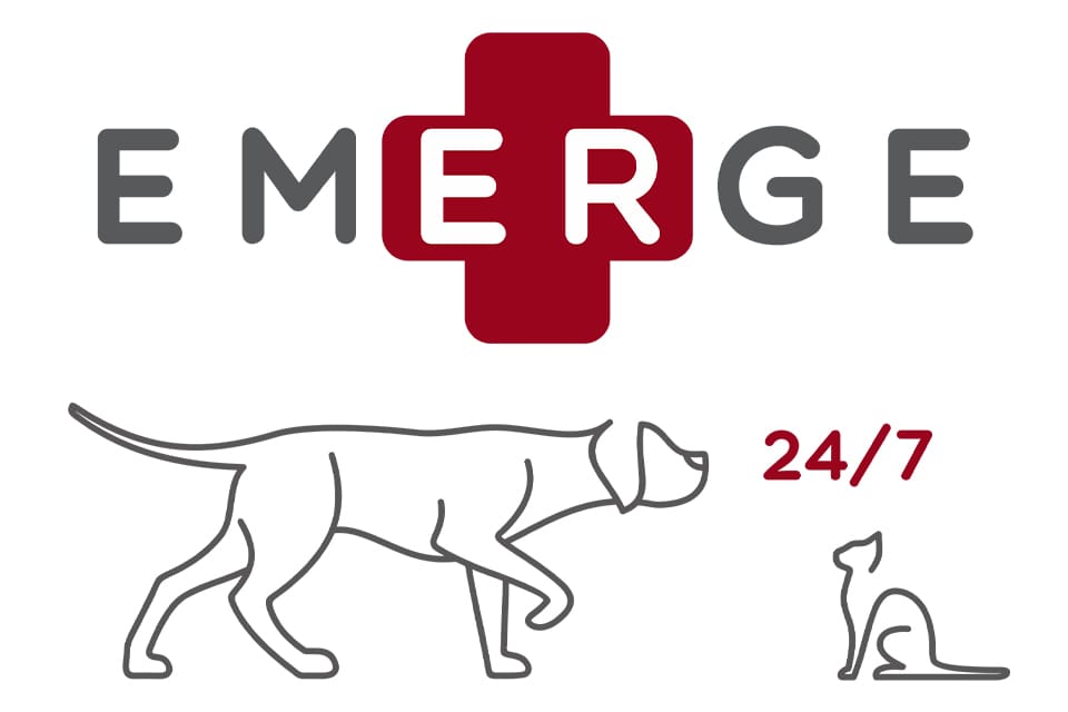 Emergency Vet A&E emergency vet services - Emerge 24/7 Veterinary Specialists Ireland