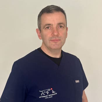 James Dunne Veterinary Specialists Ireland Staff Profile Photo