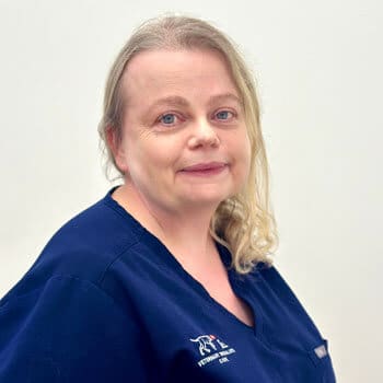 Mairead Deasy Veterinary Specialists Ireland Staff Profile Photo