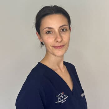 Dr. Maria Ramon Veterinary Specialists Ireland Staff Profile Photo