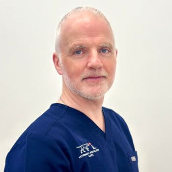 Dr. Shane Guerin Veterinary Specialists Ireland Staff Profile Photo