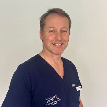 Dr. Tim Sparrow<br />
Veterinary Specialists Ireland Staff Profile Photo