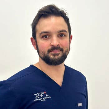 Valerio Torre Veterinary Specialists Ireland Staff Profile Photo