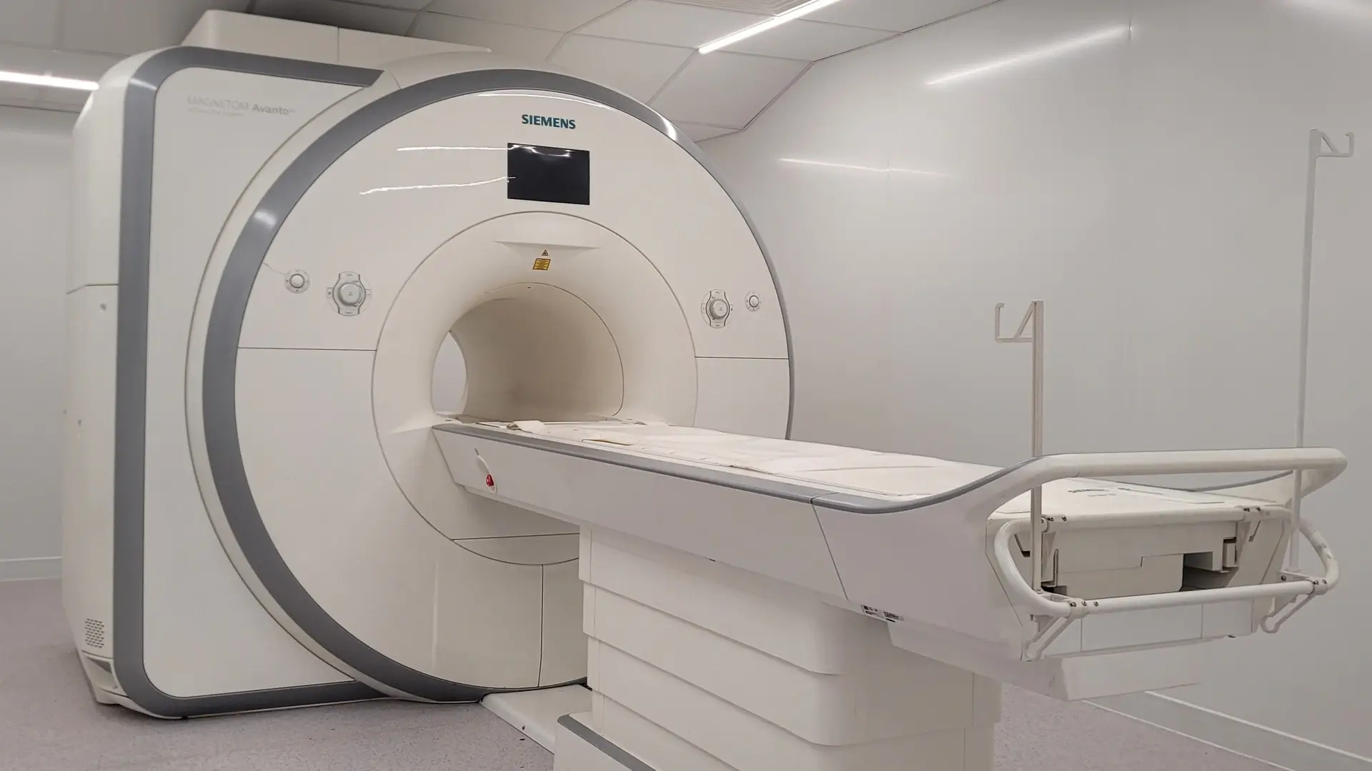 MRI scan for pets and small animals in Ireland Veterinary Specialists Ireland ()