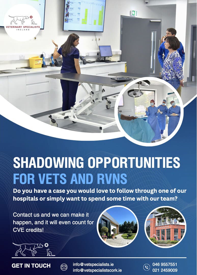 Shadowing opportunities for vets and rvns Venterinary Specialists Ireland Shadowing opportunities for vets and rvns Venterinary Specialists Ireland