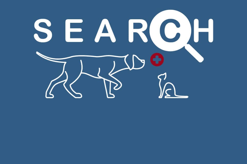 Search Tool Veterinary Specialists Ireland Symptom and Treatment Options