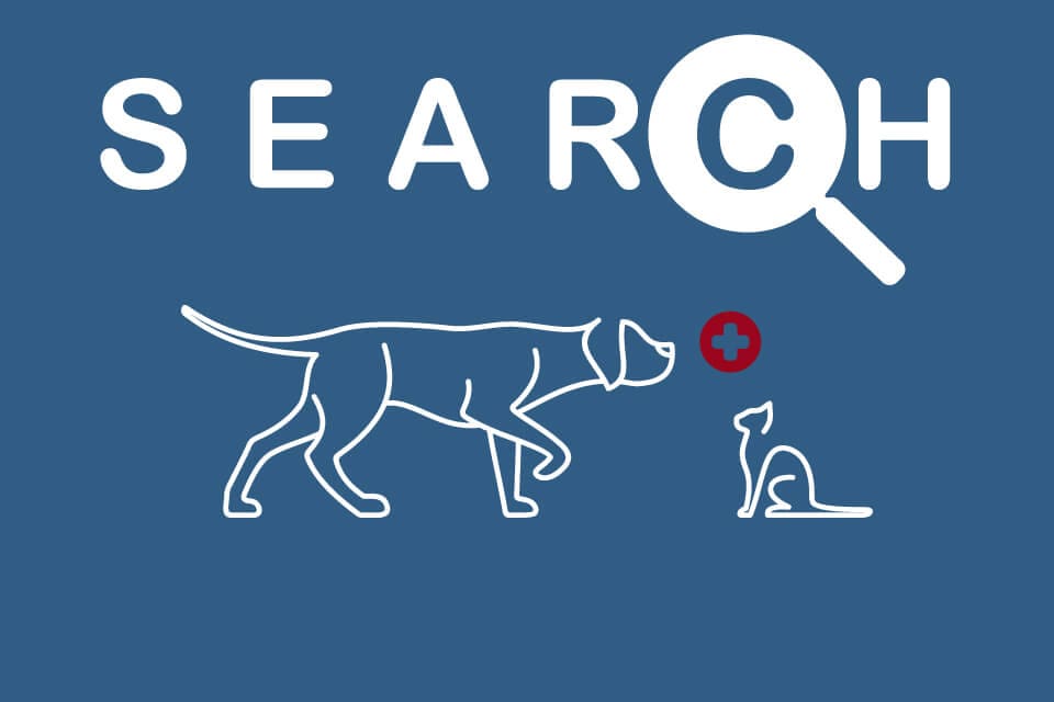 Search Tool Veterinary Specialists Ireland Symtom and Treatment Options