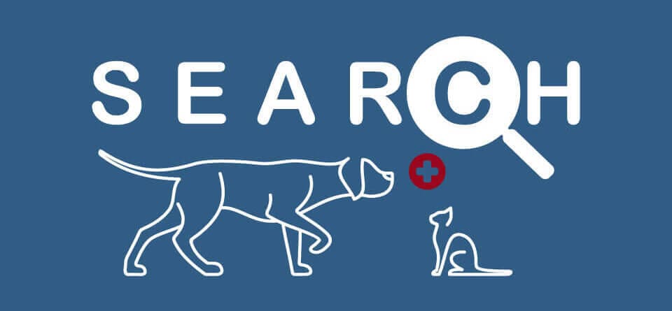 Search Tool Veterinary Specialists Ireland find solutions to your pet health issues Search Tool Veterinary Specialists Ireland find solutions to your pet health issues