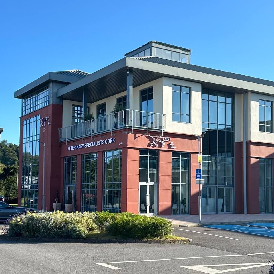Veterinary Specialists Cork Little Island Vet Hospital Square