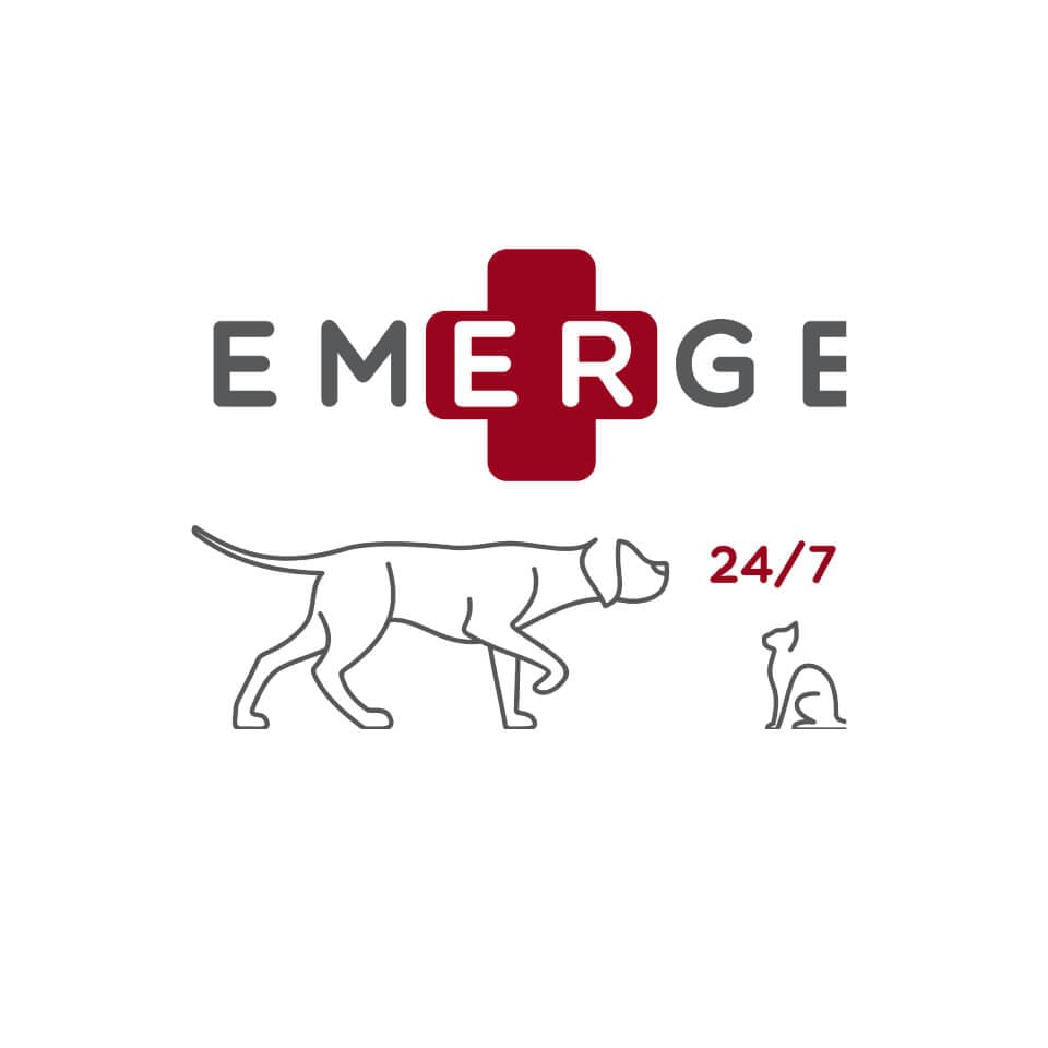 emerge emergency vet ireland Veterinary Specialists Ireland