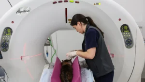 CT Scan for small animals and pets in Ireland Computed Tomography Veterinary Specialists Ireland ba ()