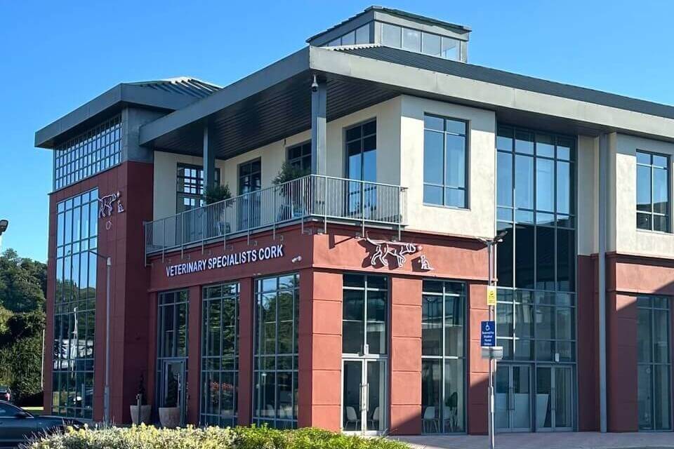 Our state-of-the-art veterinary hospital in Meath, Ireland.