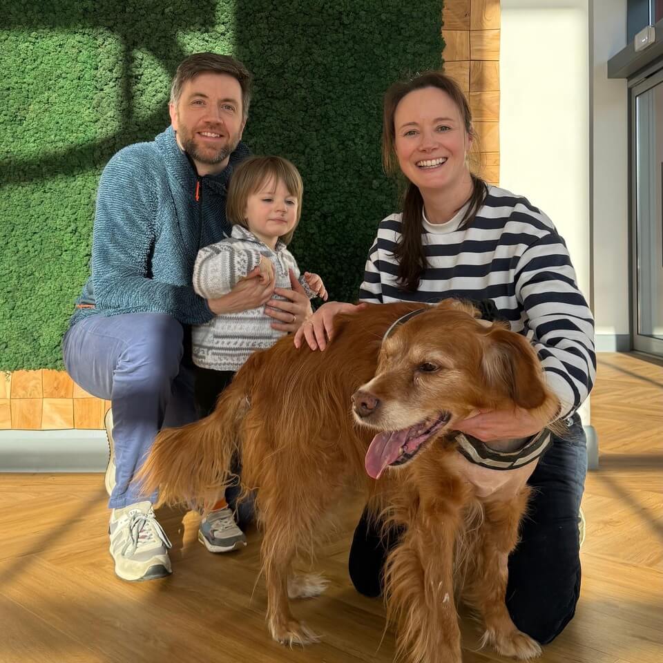 Pet Owners with their beloved golden retriever in our Cork Hospital