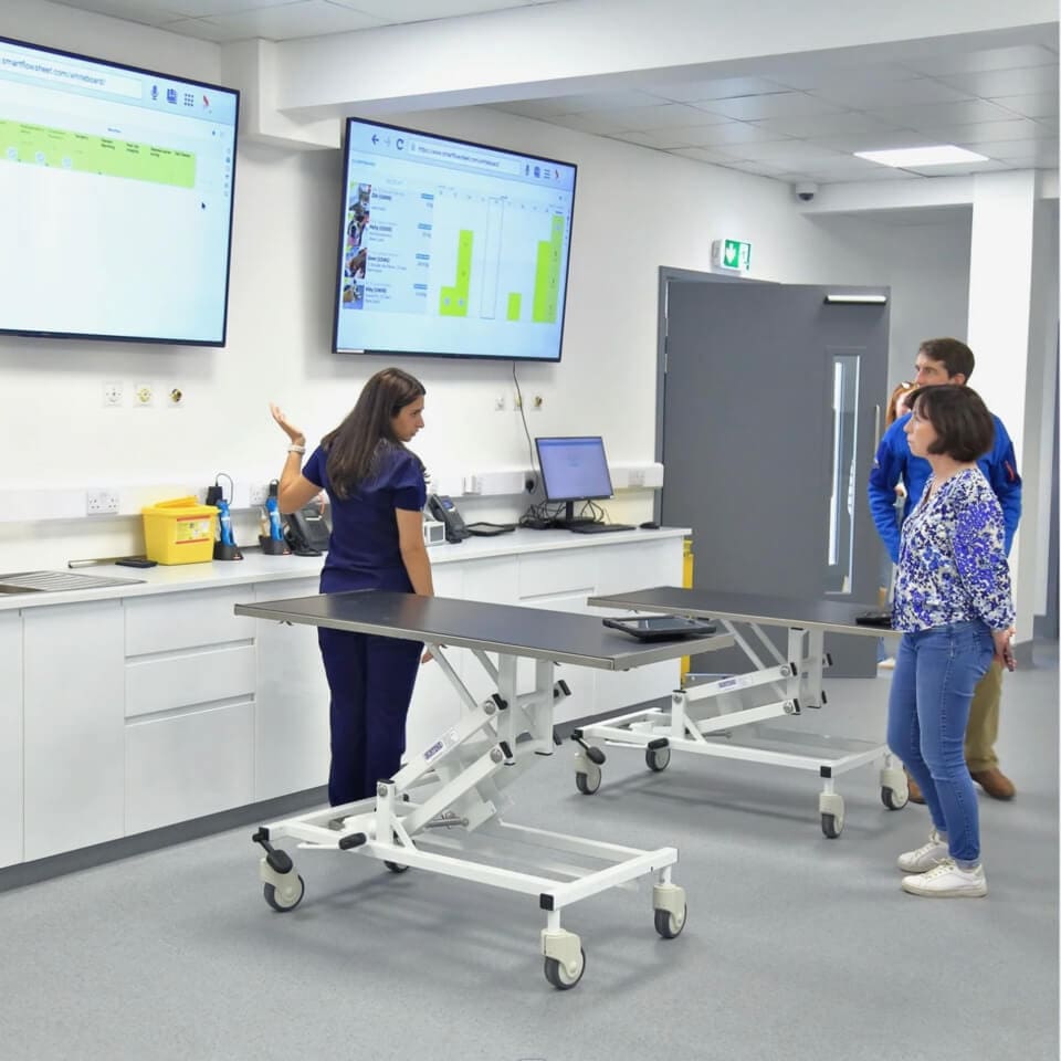 Referring vets speaking to a specialist in our veterinary hospital